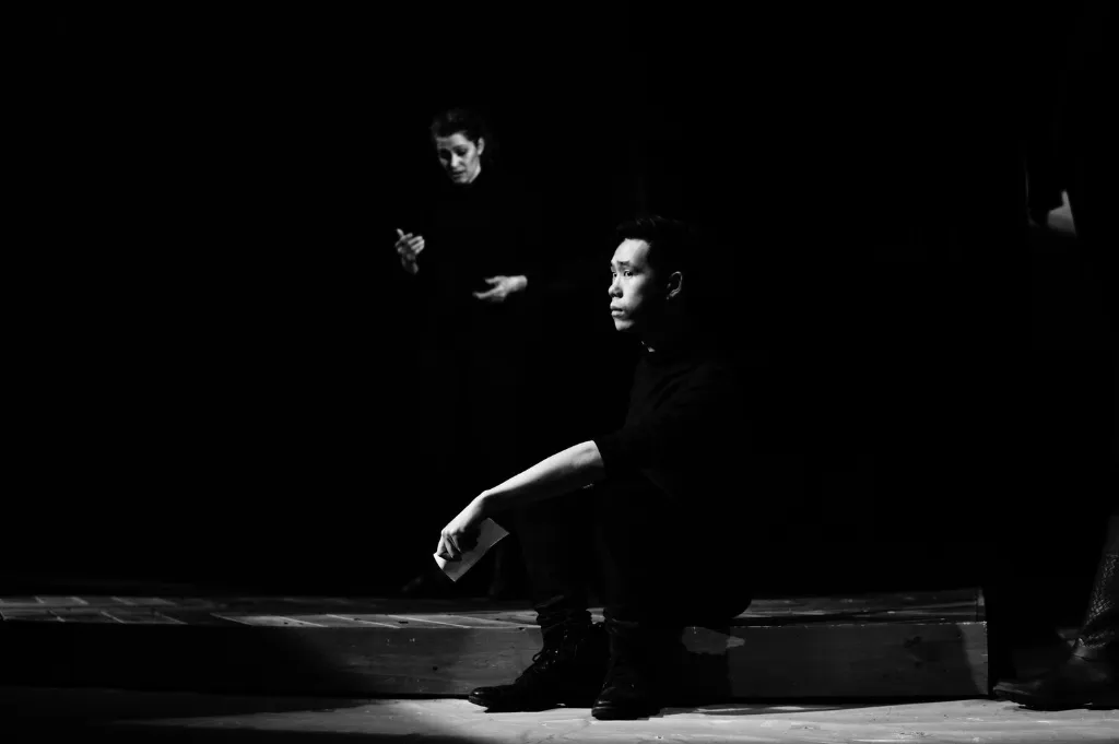Prince Hamlet - Shadow stage scene